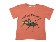 Soft Gallery t-shirt Asger baked clay grashopper